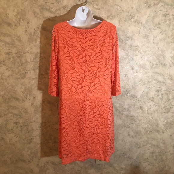 Sandra Darren Pull-Over Floral Lace Dress - Picture 10 of 13